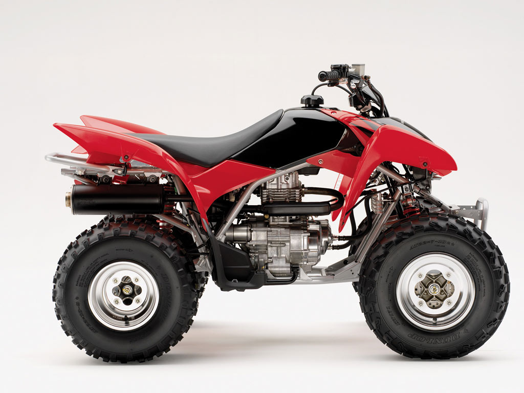 Фото квадроцикла Honda TRX250X